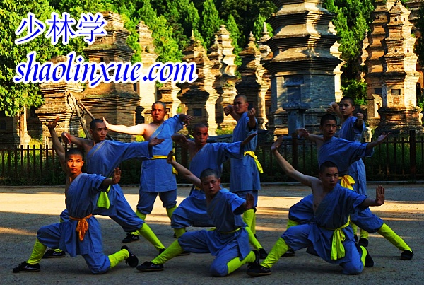 Shaolin Martial Arts,ShaolinMartialArts