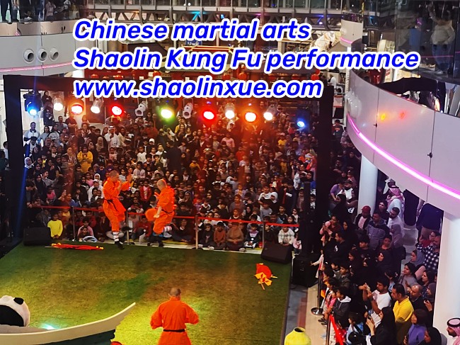 Chinese martial arts Shaolin Kung Fu & Chinese Kung Fu Shaolin martial arts 